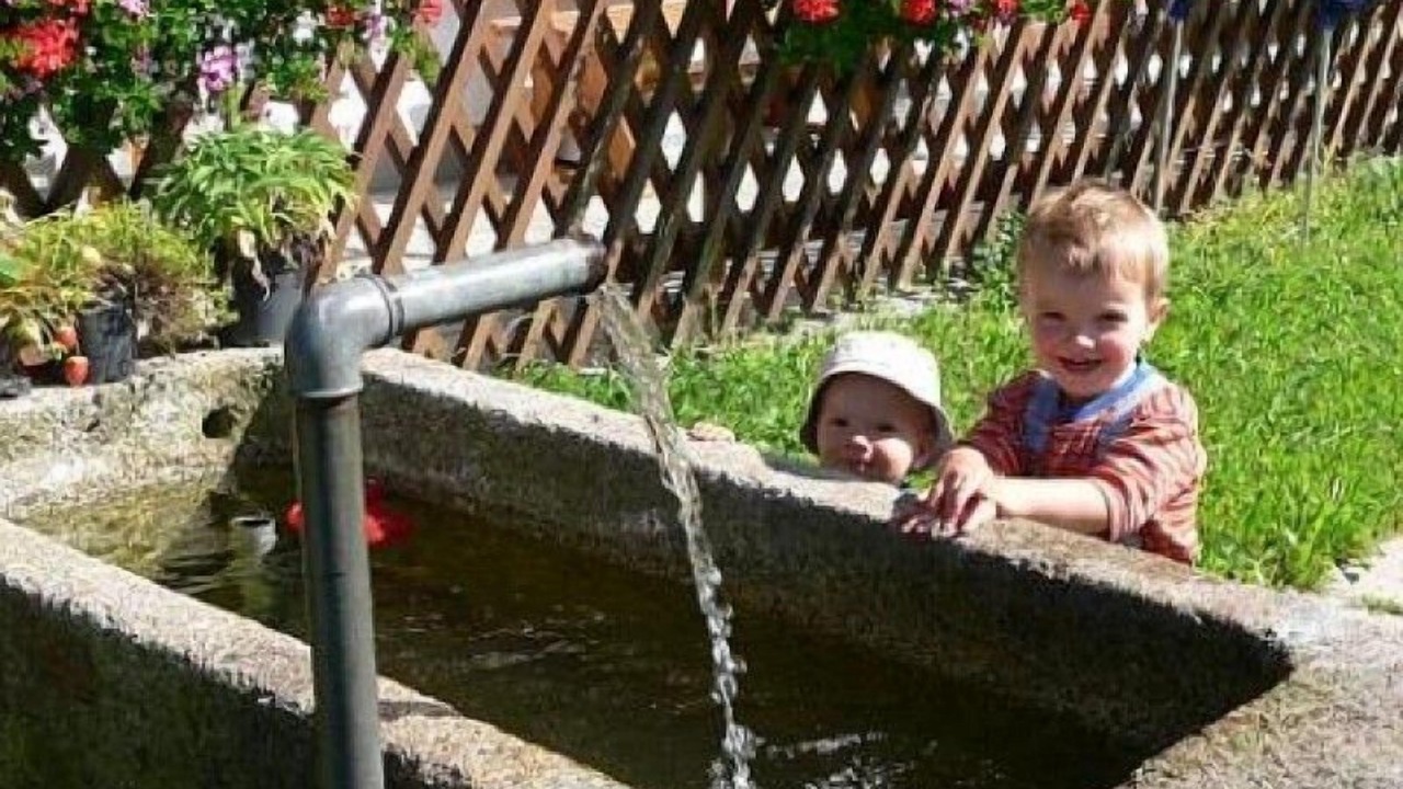 Photo of Outdoor in Neureichenau