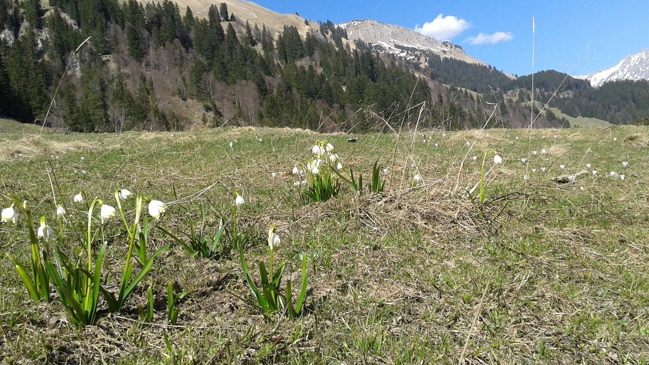 Photo of Outdoor in Bad Hindelang