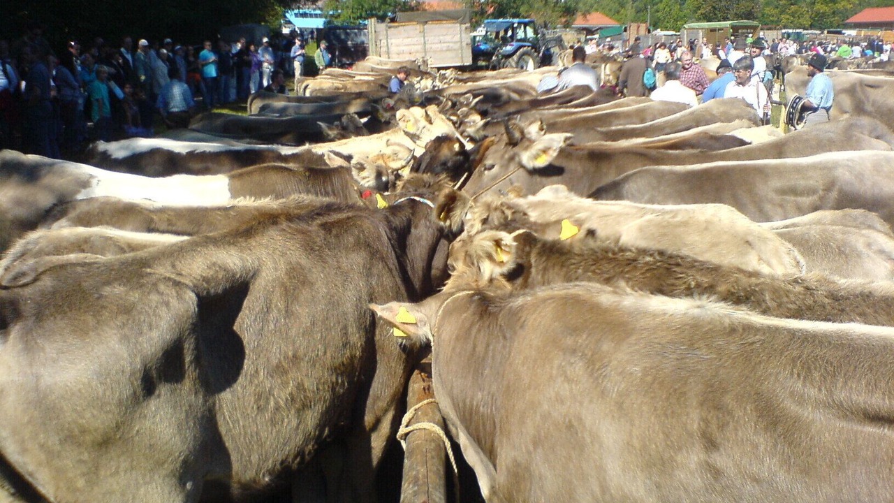 Photo of Others in Bad Hindelang