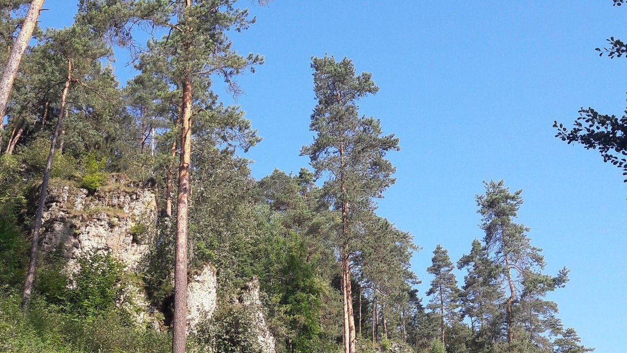Photo of Outdoor in Neuhaus an der Pegnitz