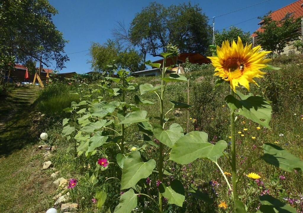 Photo of Outdoor in Rathmannsdorf