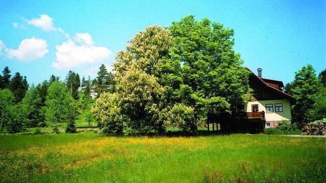 Photo of Outdoor in Freudenstadt