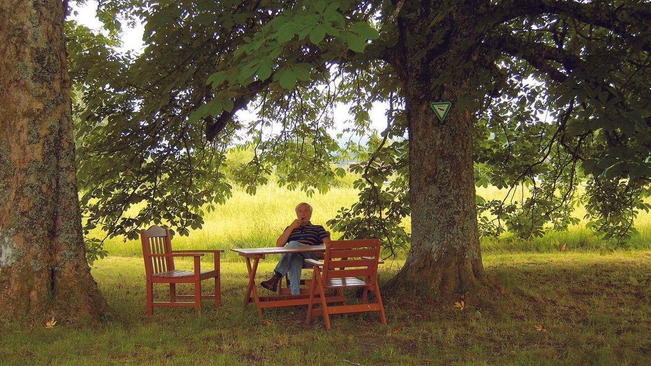 Photo of Outdoor in Freudenstadt