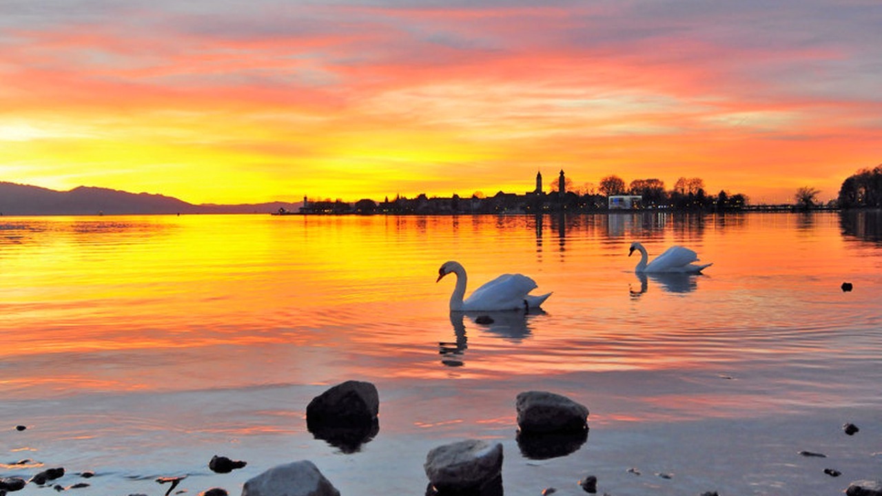 Photo of Others in Insel