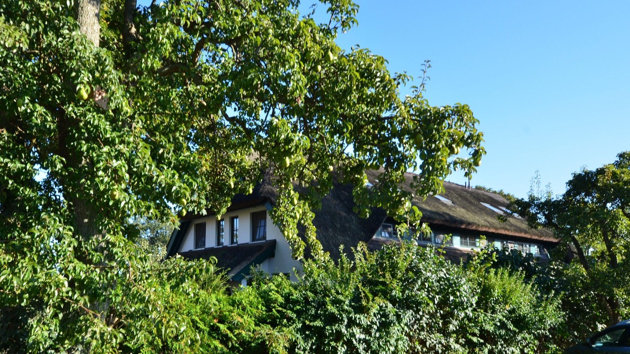 Photo of Outdoor in Gross Zicker