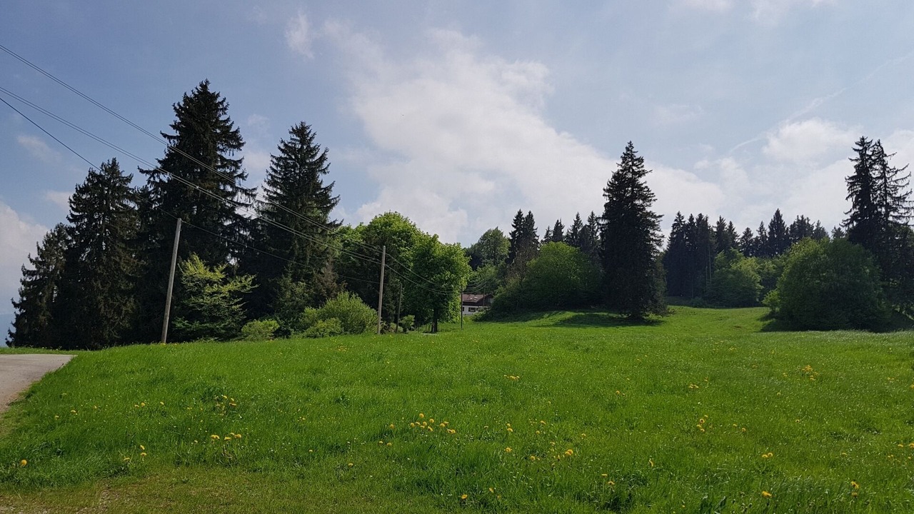 Photo of Others in Rosshaupten