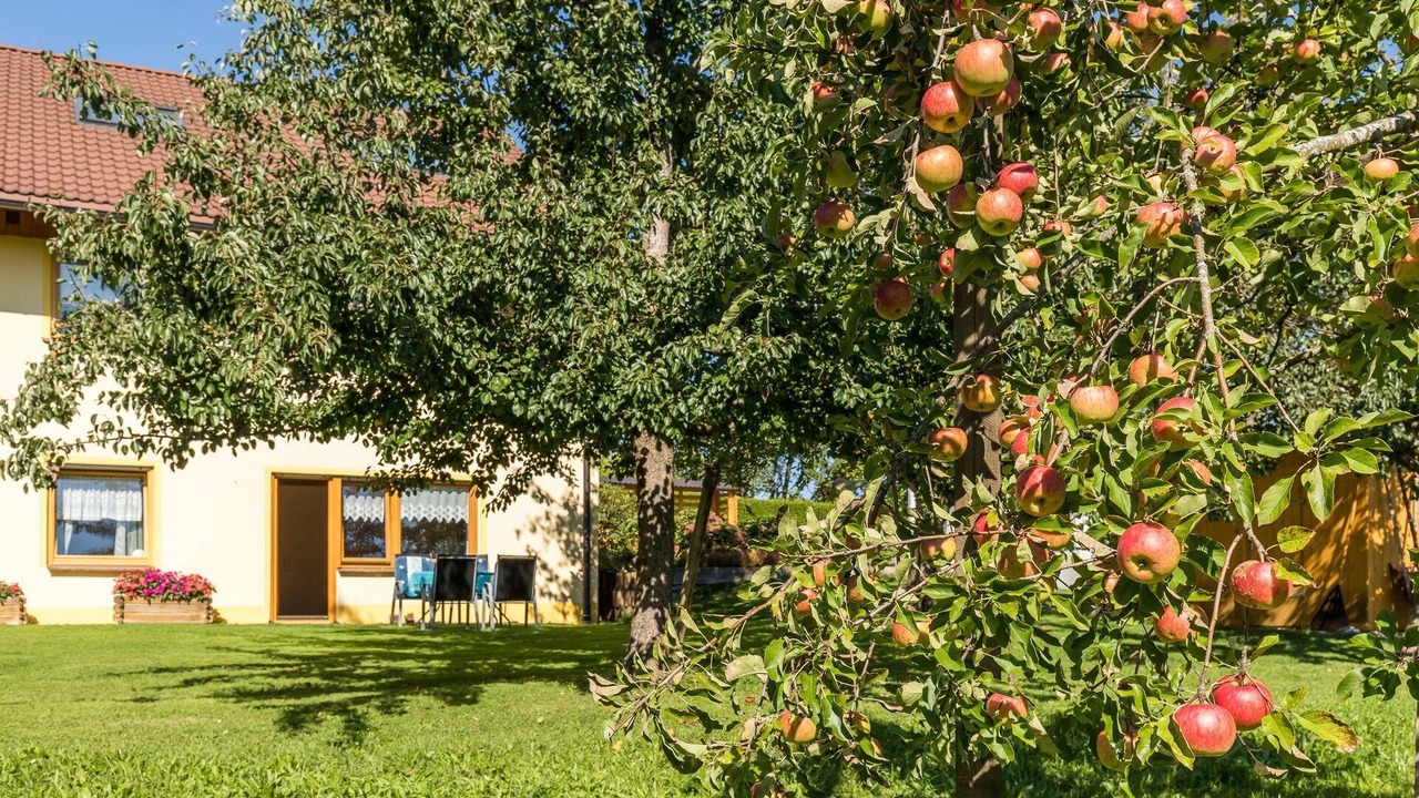 Photo of Outdoor in Hergensweiler