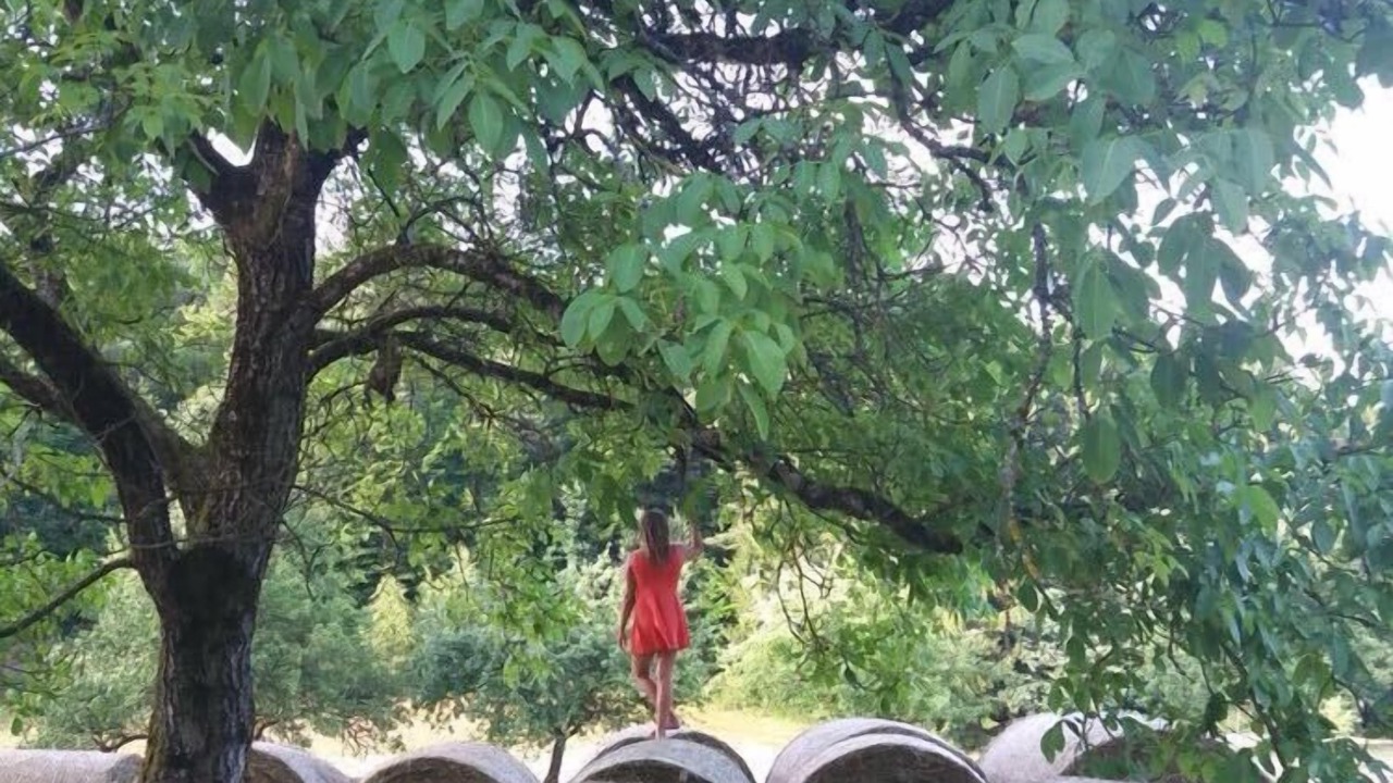 Photo of Others in Saldenburg