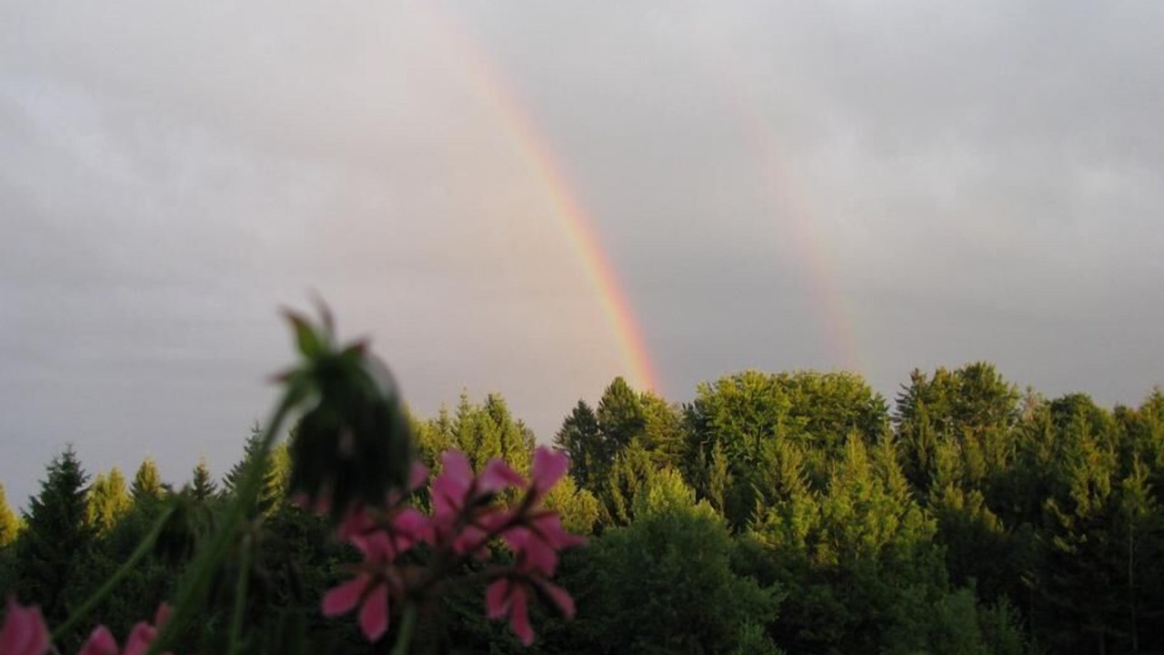 Photo of Outdoor in Neureichenau