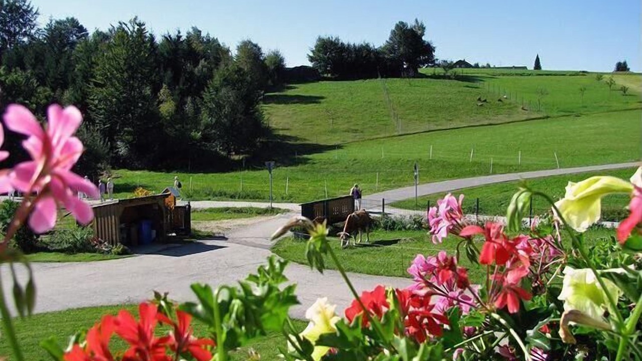 Photo of Outdoor in Neureichenau