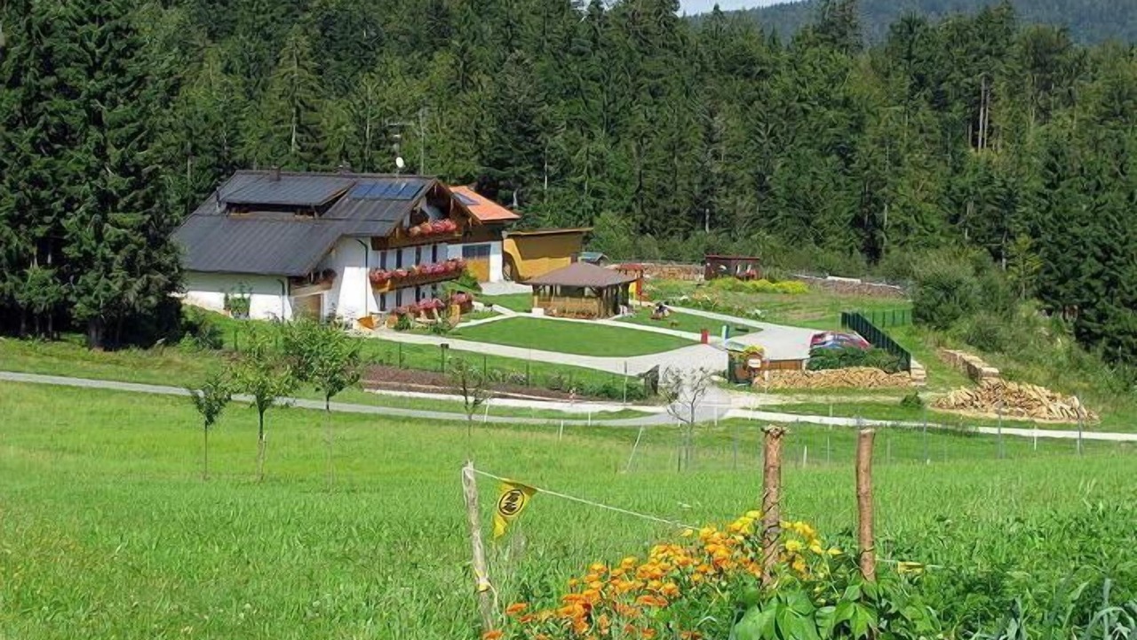 Photo of Outdoor in Neureichenau