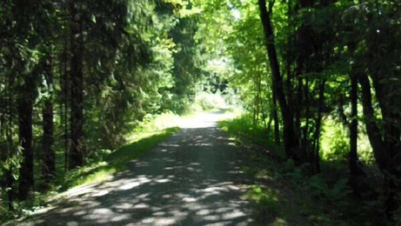 Photo of Outdoor in Neureichenau