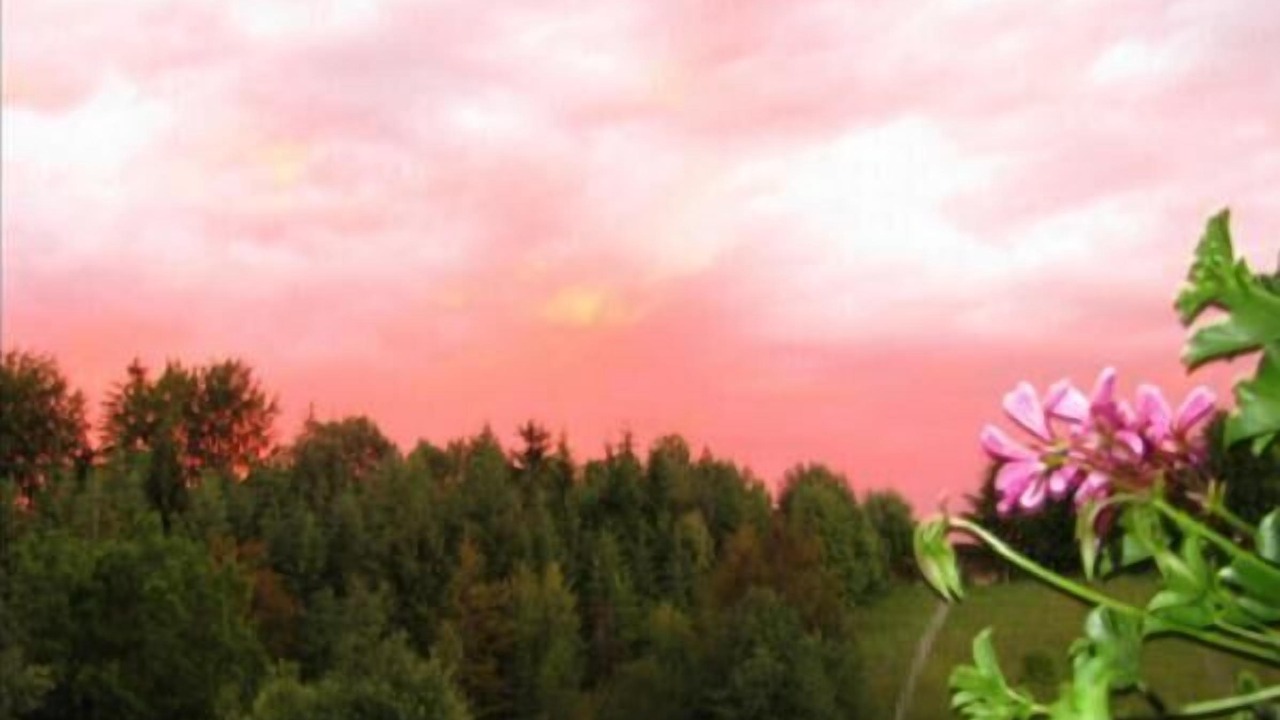 Photo of Others in Neureichenau