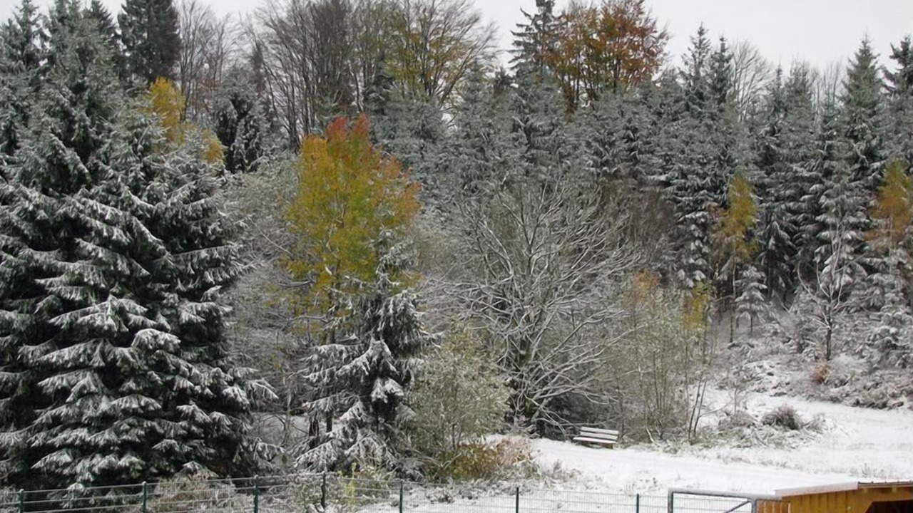 Photo of Others in Neureichenau