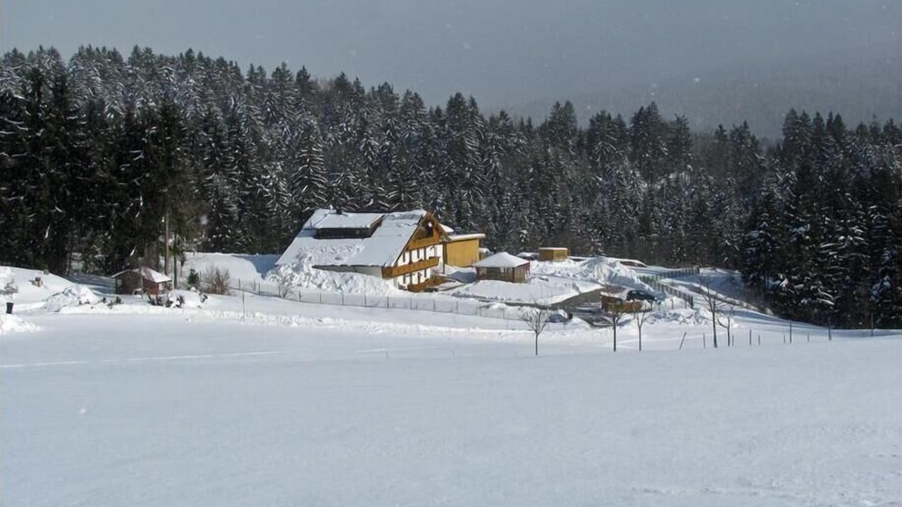 Photo of Outdoor in Neureichenau