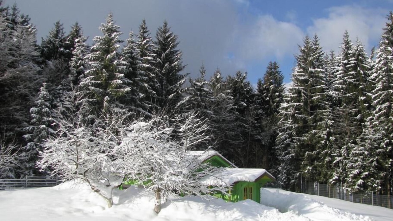 Photo of Outdoor in Neureichenau