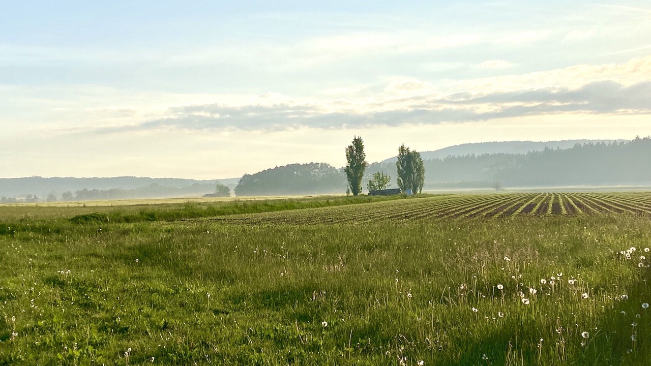 Photo of Outdoor in Postbauer-Heng