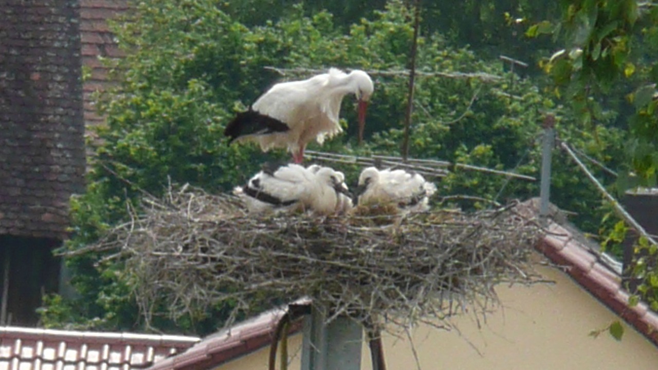 Photo of Outdoor in Salem