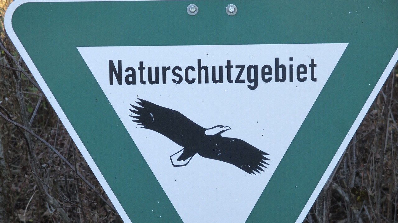 Photo of Others in Stetten