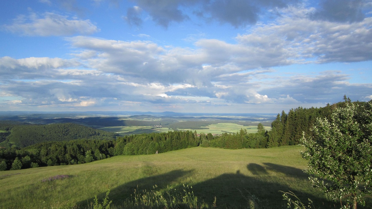 Photo of Others in Oberwaldbehrungen