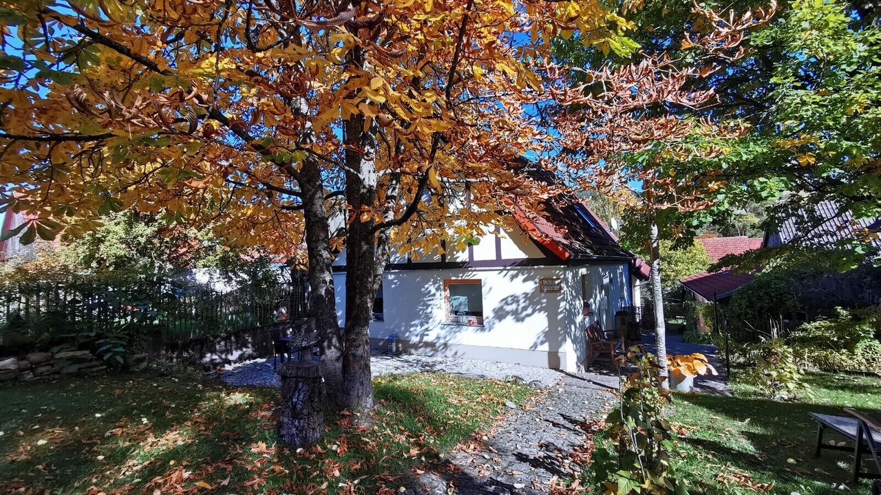 Photo of Outdoor in Oberwaldbehrungen