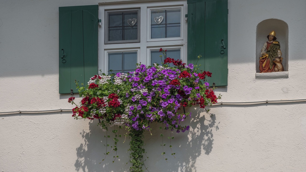Photo of Outdoor in Riederau