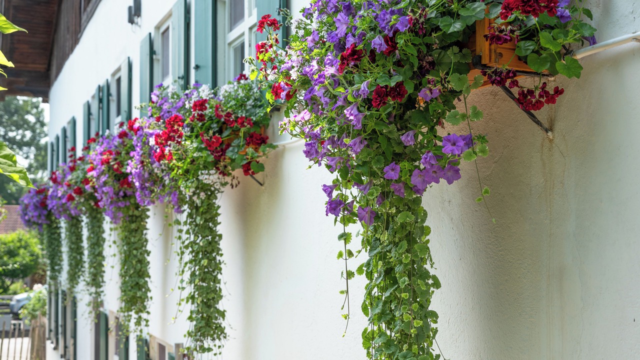 Photo of Outdoor in Riederau