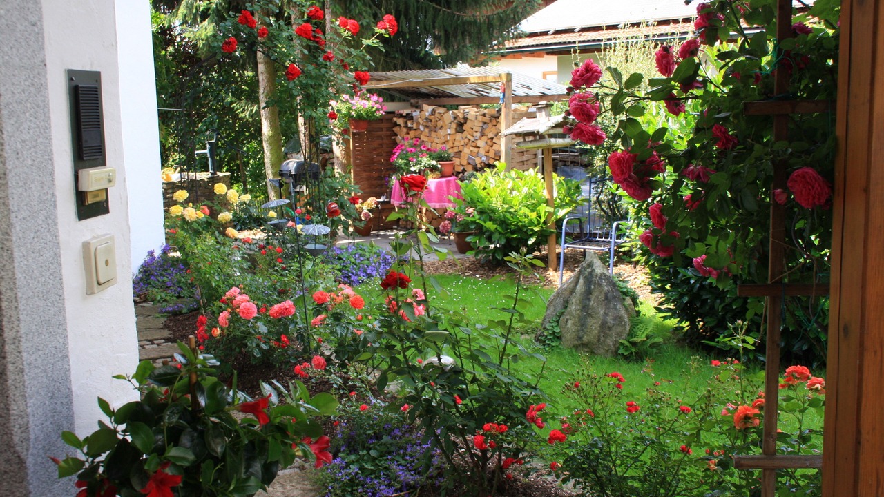 Photo of Outdoor in Regen