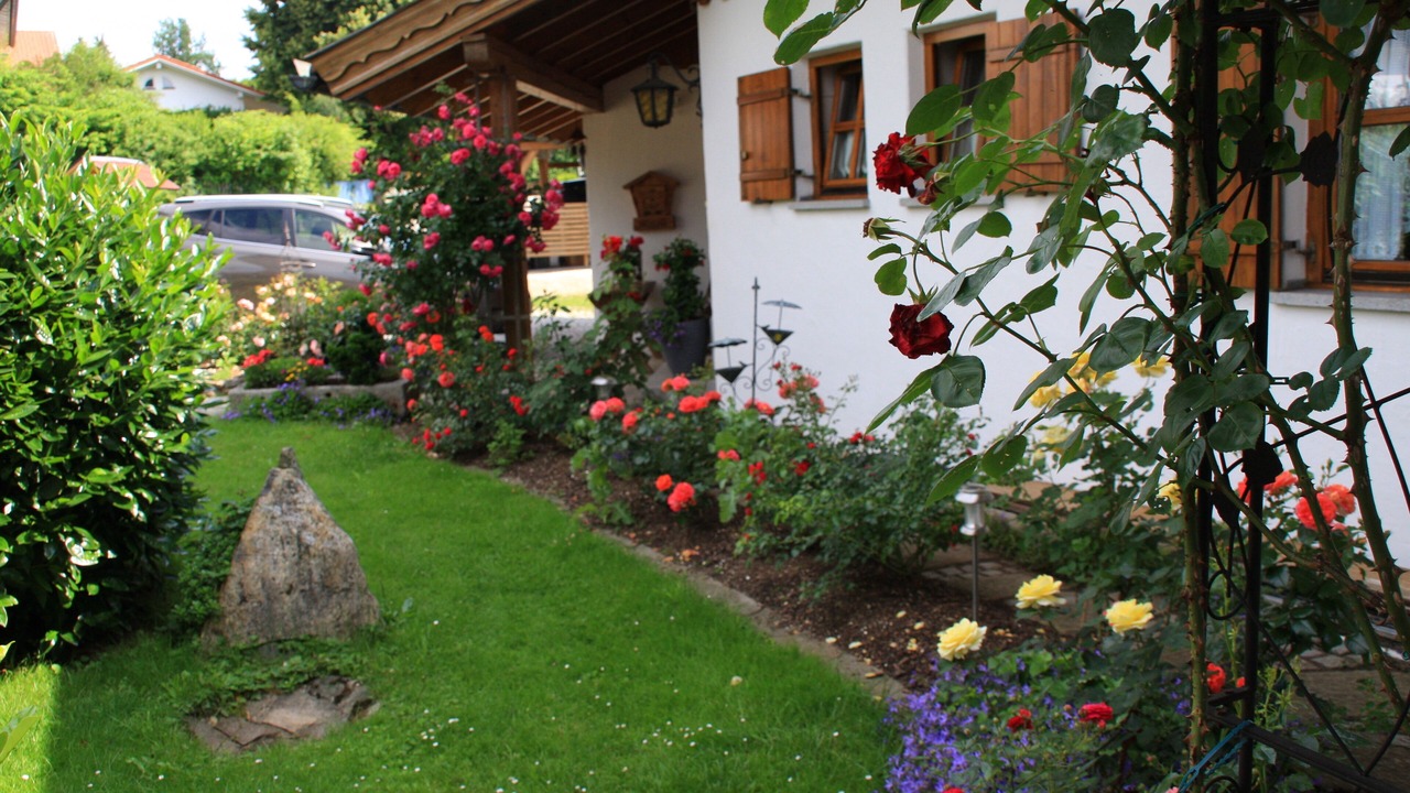 Photo of Outdoor in Regen
