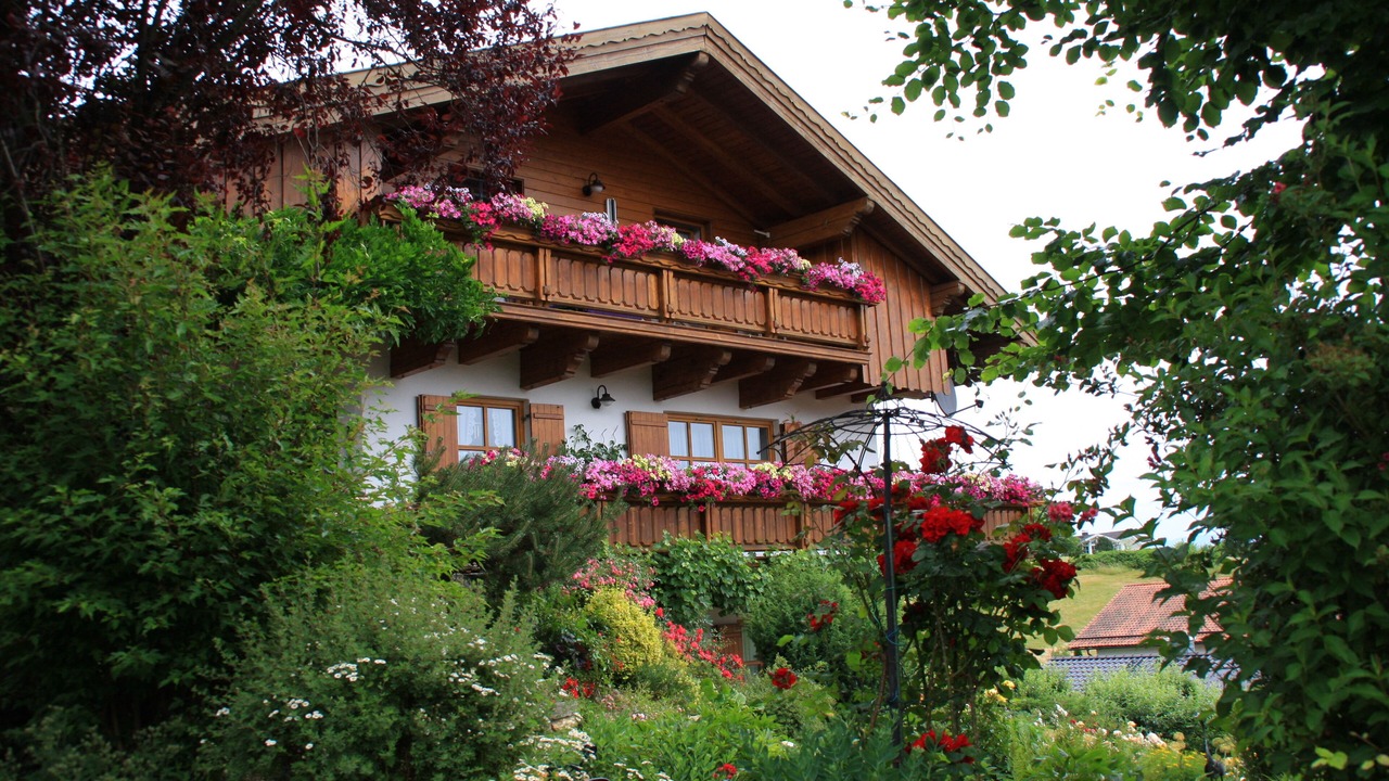 Photo of Outdoor in Regen