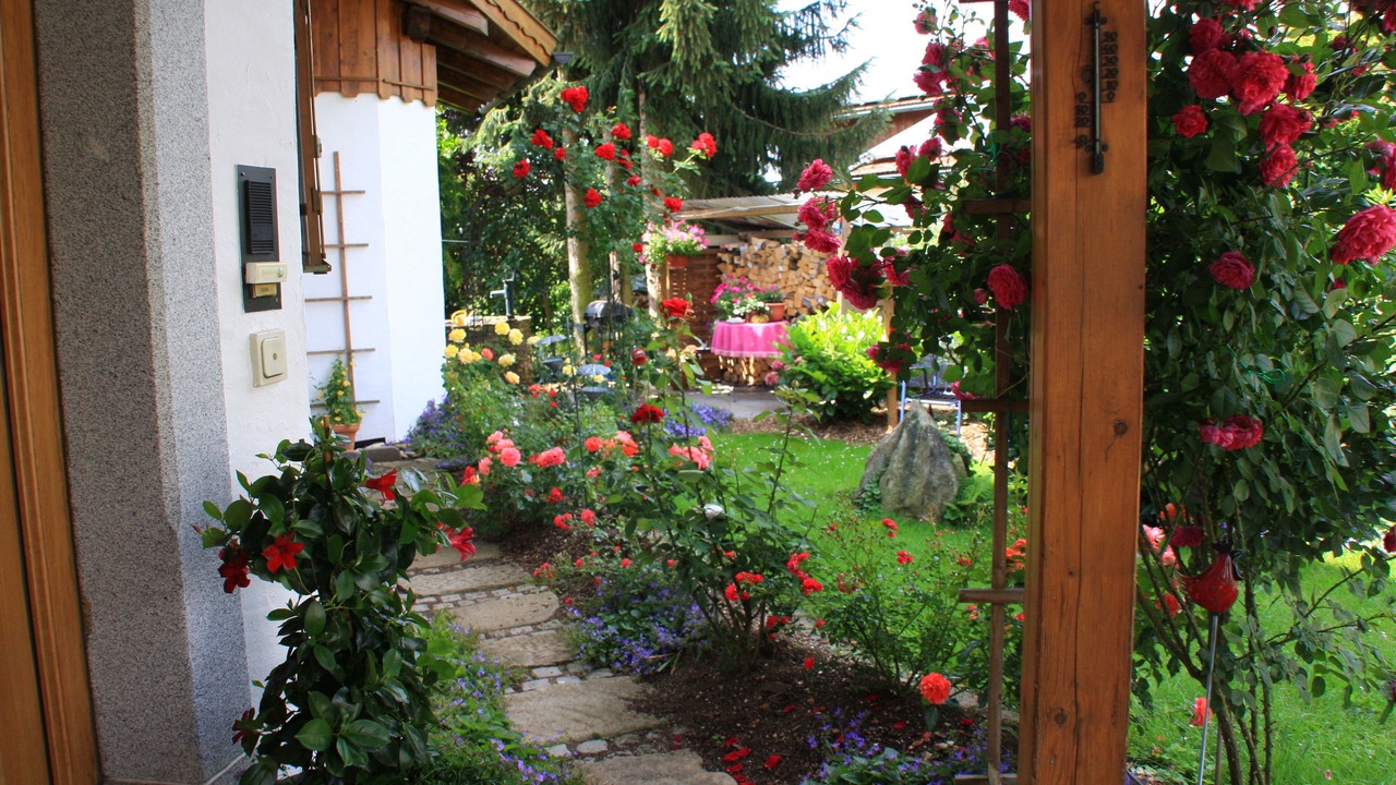 Photo of Outdoor in Regen