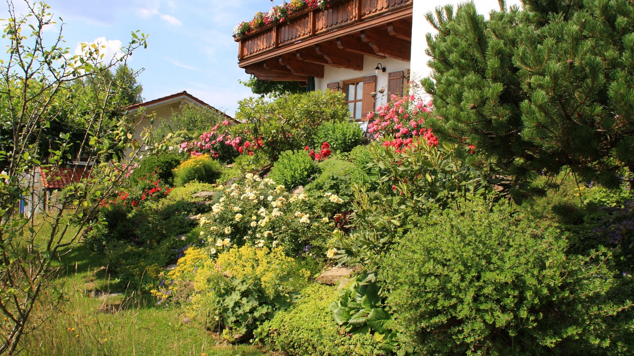 Photo of Outdoor in Regen