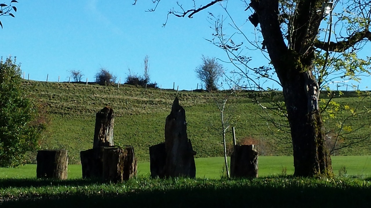 Photo of Outdoor in Scheidegg