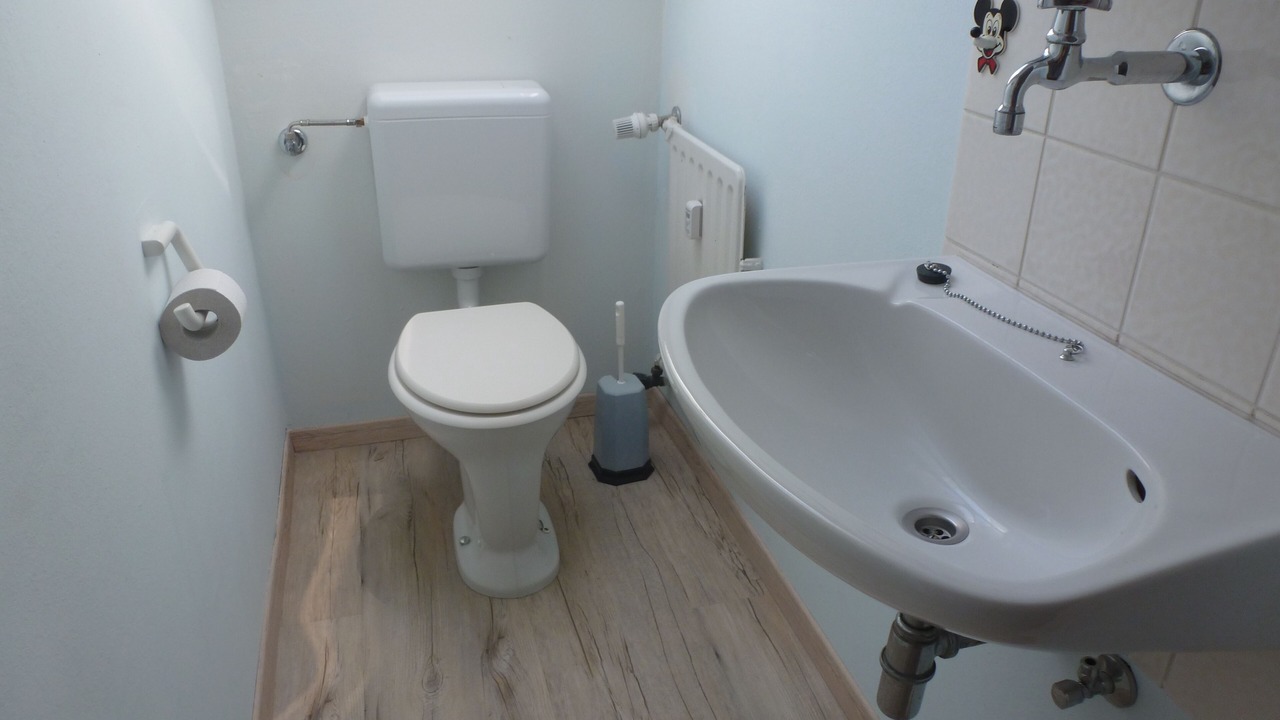 Photo of Bathroom in Scheidegg