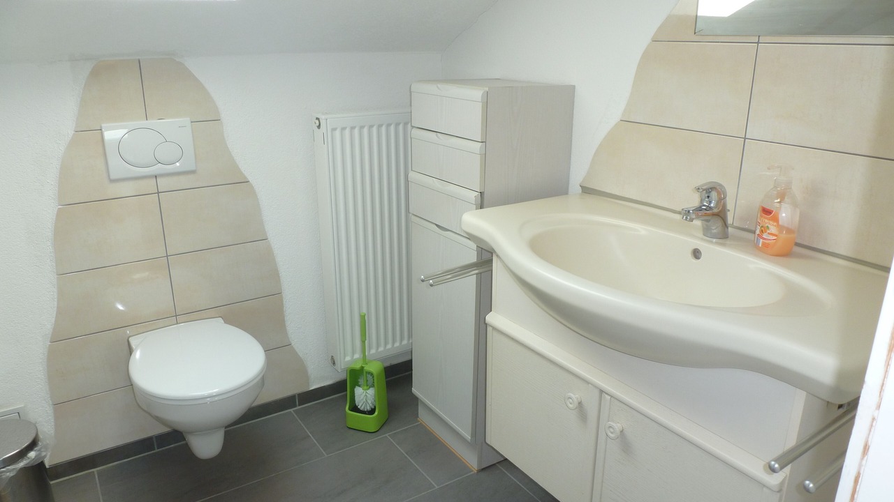 Photo of Bathroom in Scheidegg
