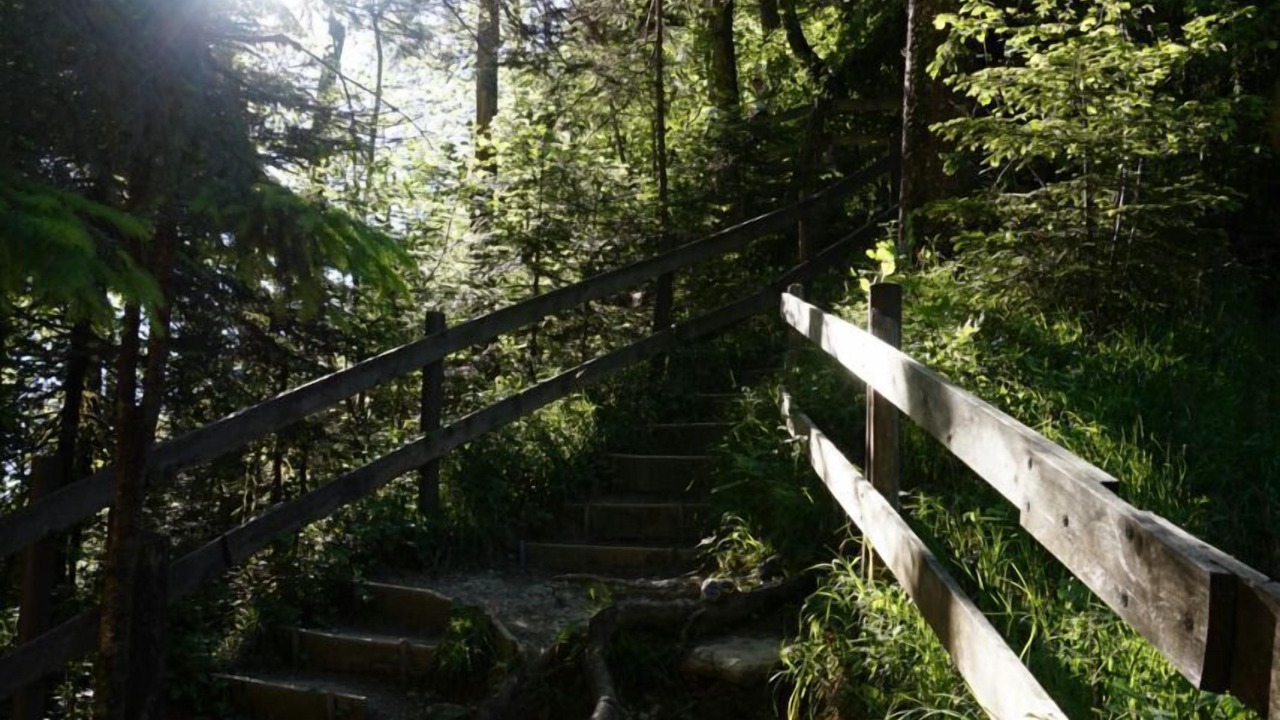 Photo of Outdoor in Scheidegg