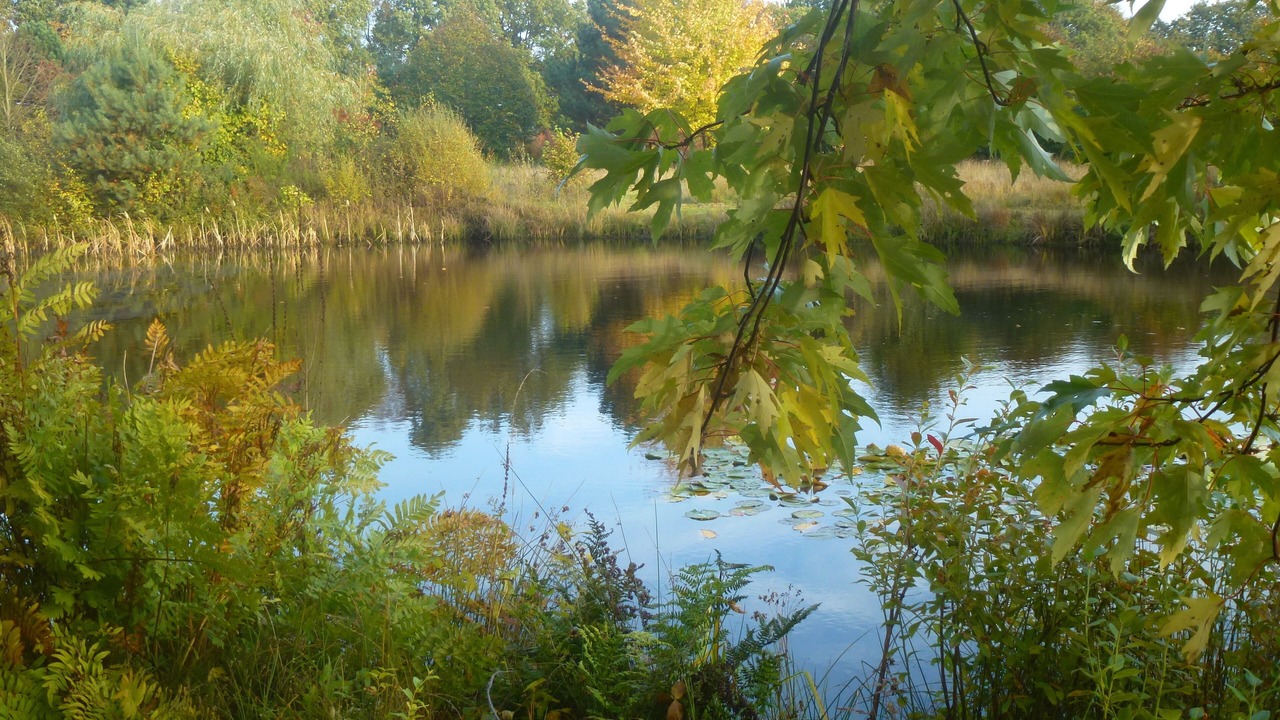 Photo of Outdoor in Westerstede
