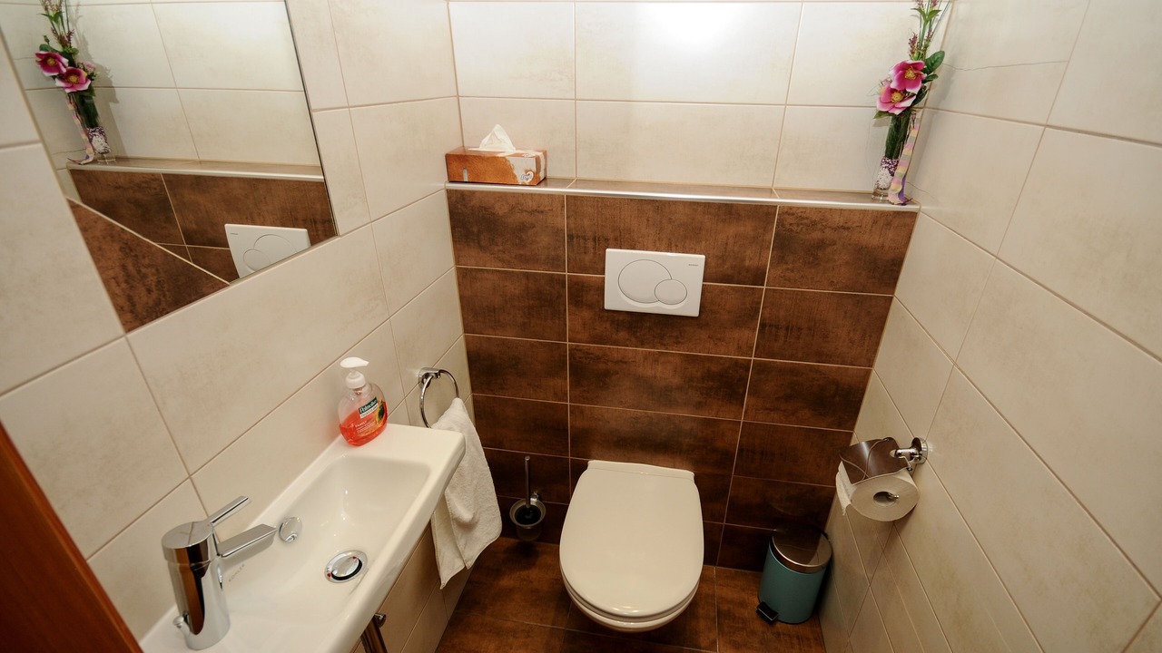 Photo of Bathroom in Wenns