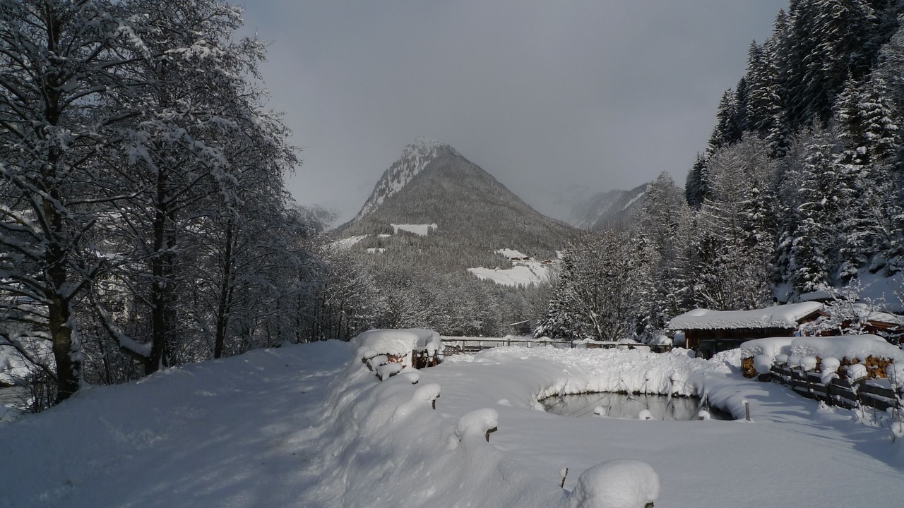 Photo of Outdoor in Lutago