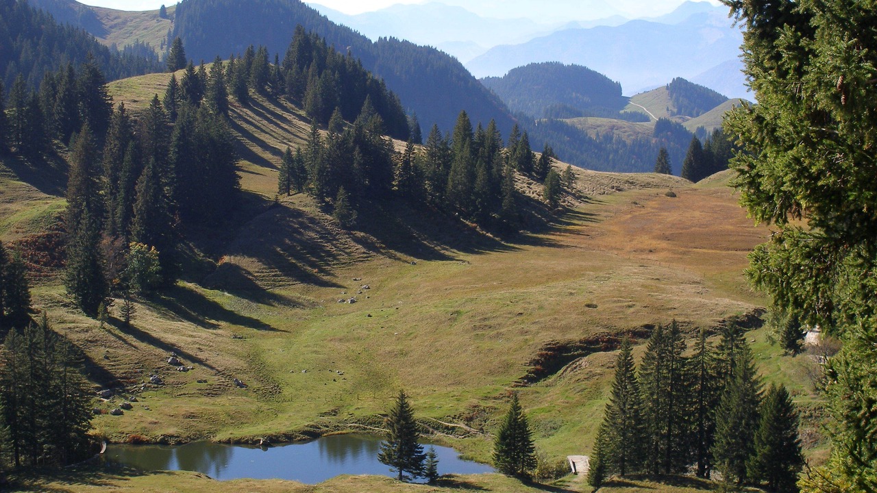 Photo of Others in Riedering