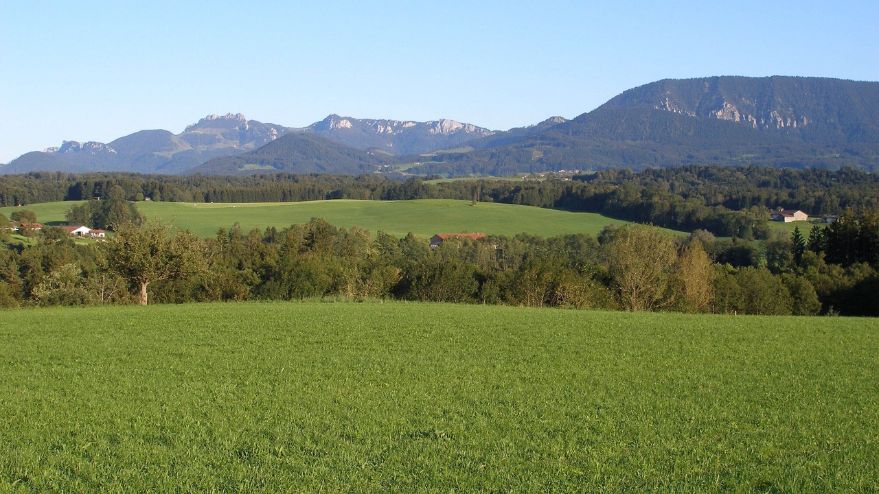 Photo of Others in Riedering