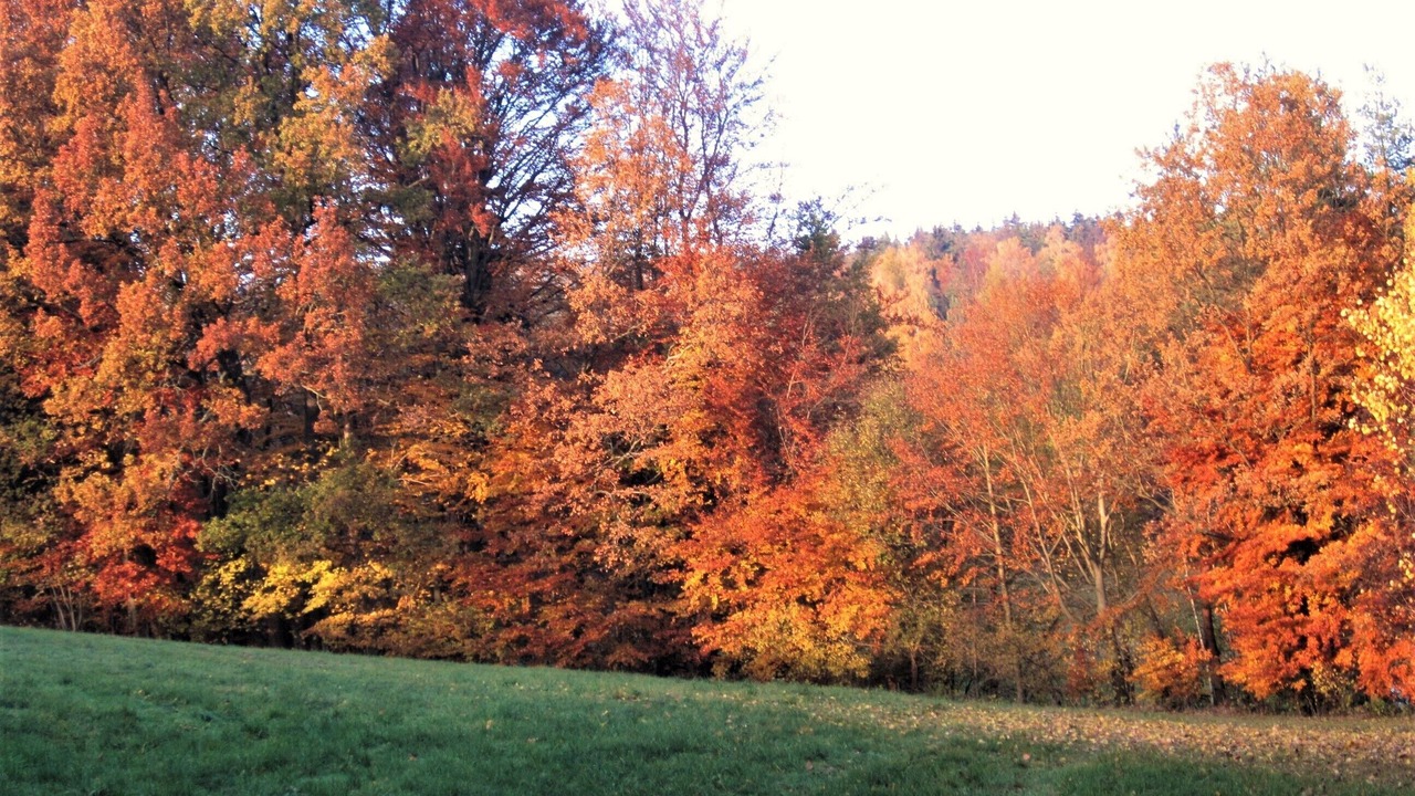 Photo of Outdoor in Kirchenlamitz