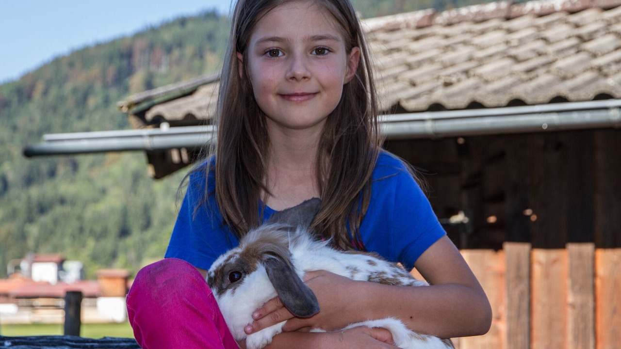 Photo of Others in Breitmoos