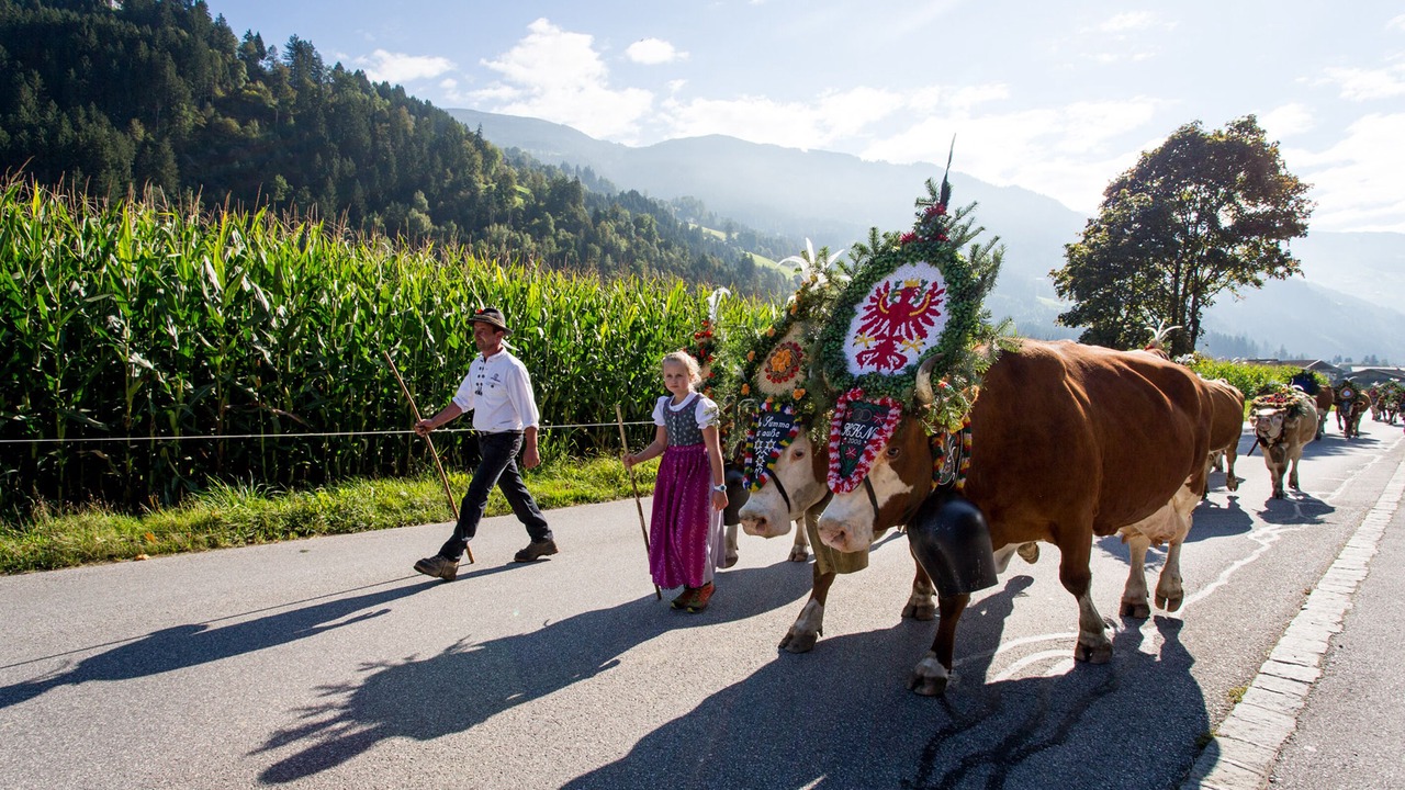 Photo of Others in Mayrhofen