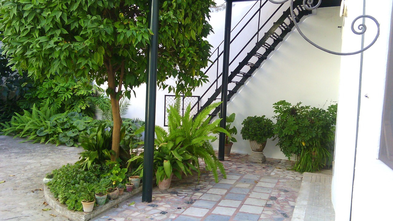 Photo of Outdoor in Sanlucar de Barrameda