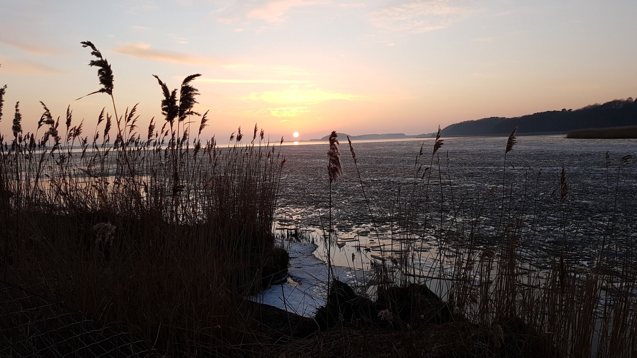 Photo of Others in Ostseebad Baabe