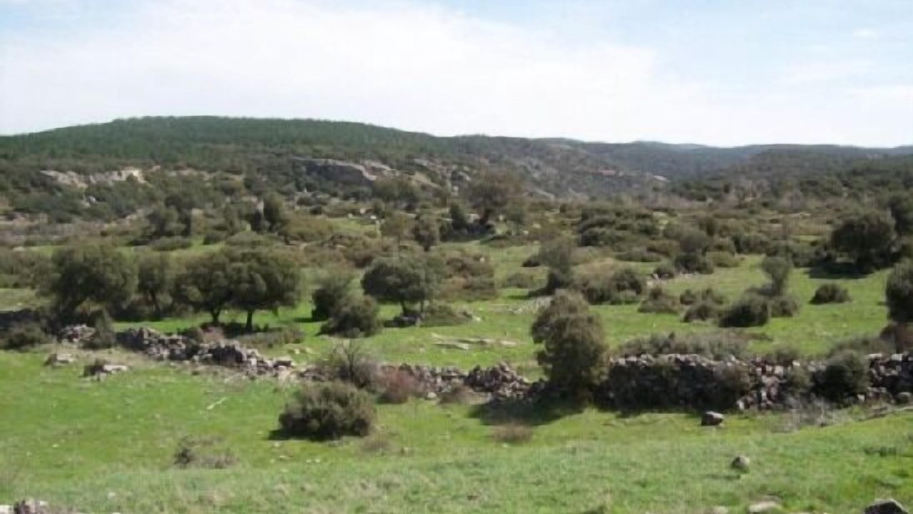 Photo of Outdoor in Canaleja