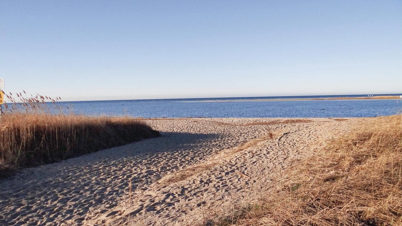 Photo of Others in Insel Poel