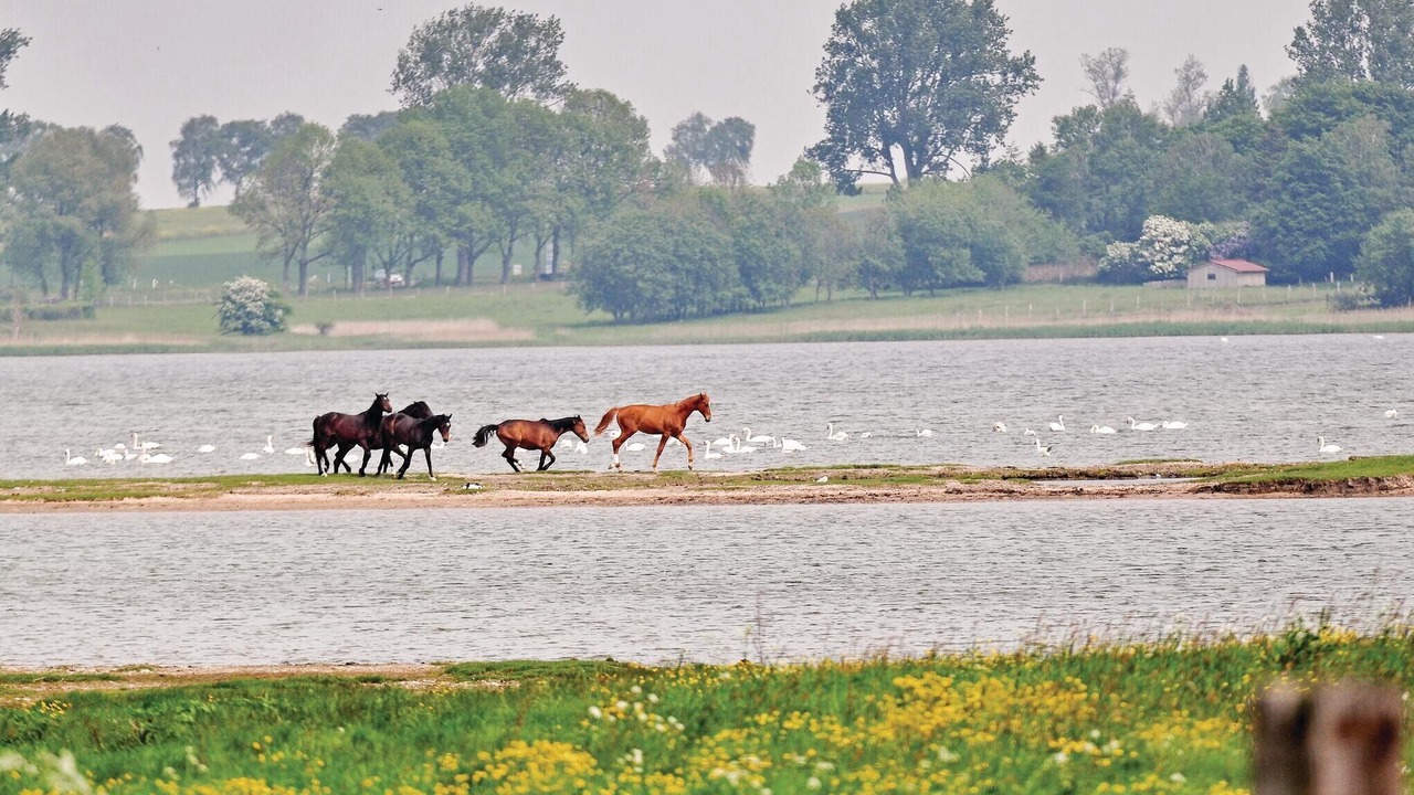 Photo of Others in Insel Poel
