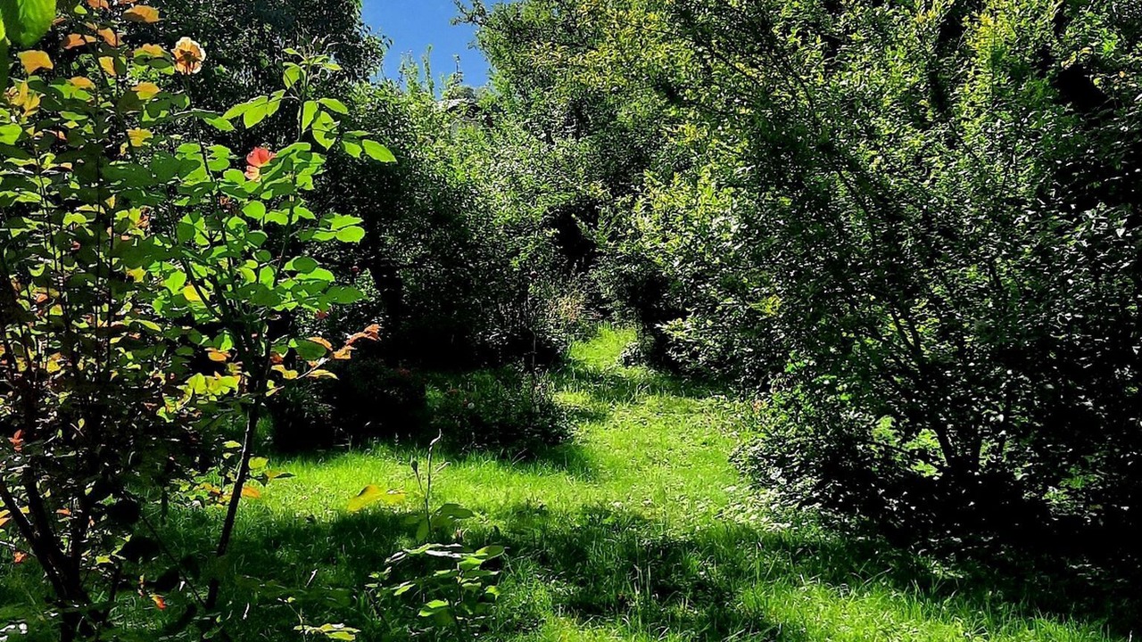 Photo of Outdoor in Grassau